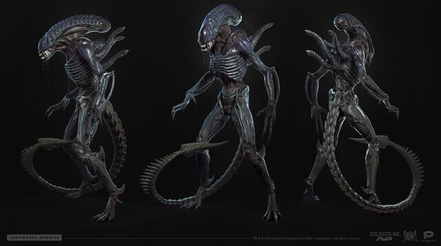 File:Warrior clone.jpg