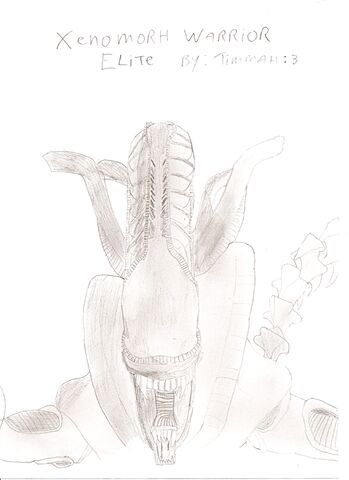 File:Xenomorph Drawing.jpg