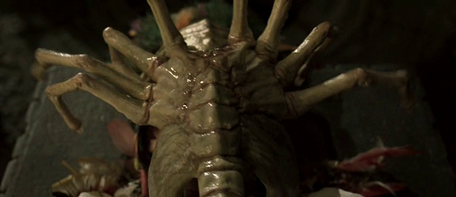 File:Sacrificial Maiden Facehugged.png