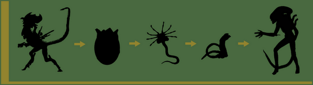 File:Xeno cycle.png