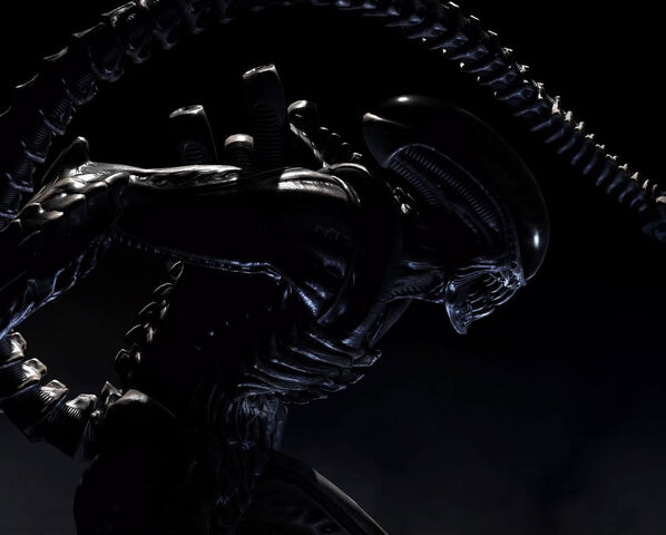 File:WOTc10.jpg