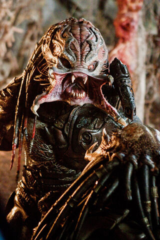File:Un mask 2.jpg