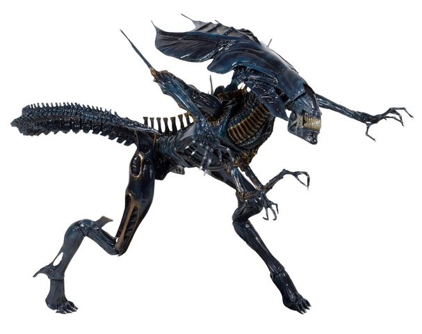 File:1300x-Alien Queen1.jpg