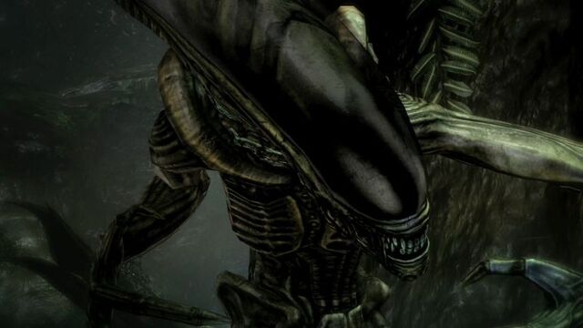File:Normal killmoves19.jpg