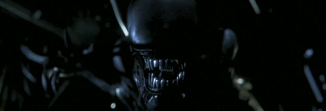 File:IsolationReveal.jpg