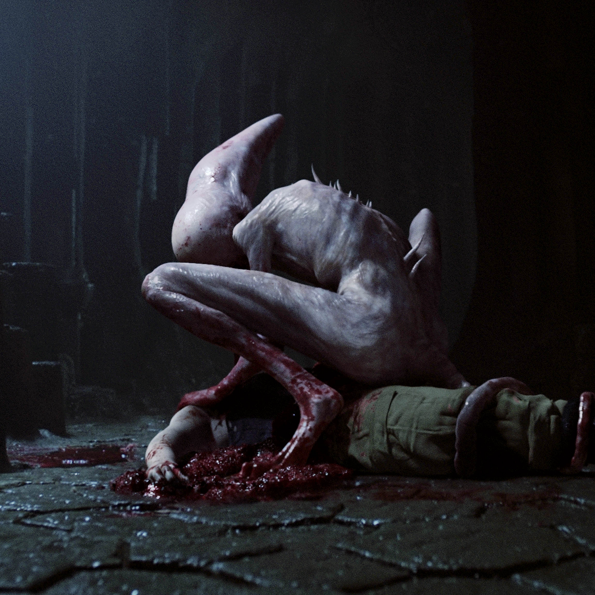 Neomorph Neomorph
