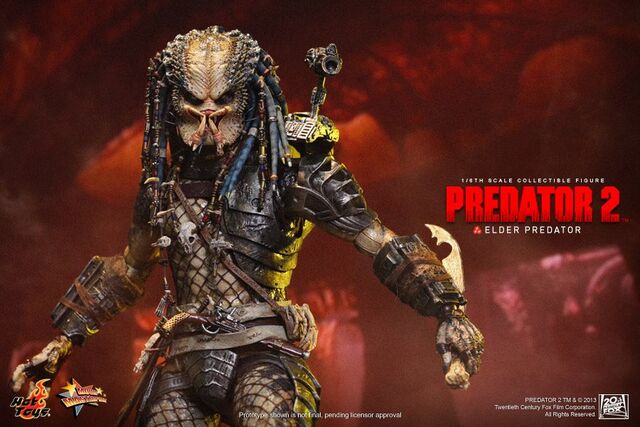 File:Hottoysgreyback.jpg