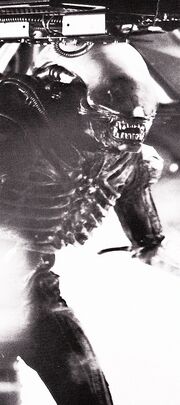 Badejo in full costume as Alien