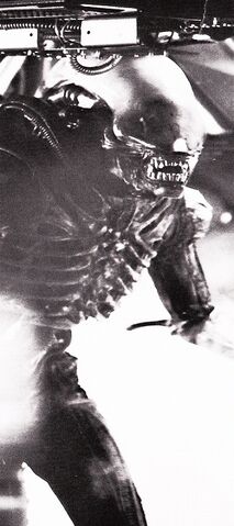 File:Badejo in full costume as Alien.jpg