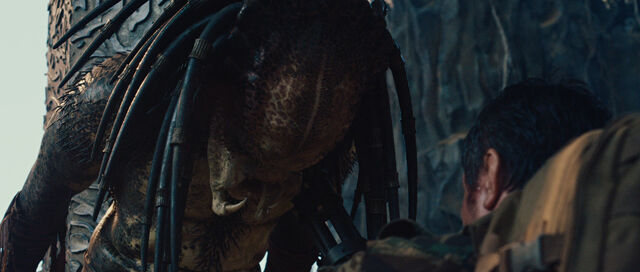 File:Predatorsbdcap3.jpg