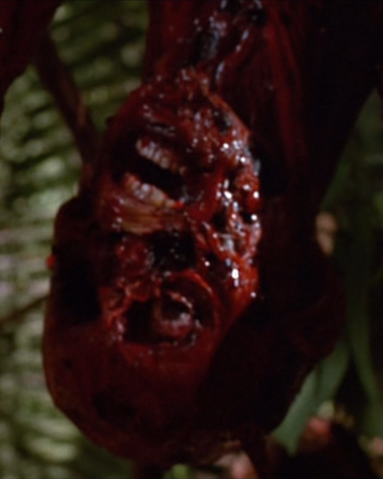 File:Jim Hopper.png
