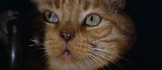 File:Alien060.jpg