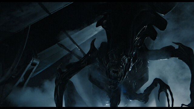 File:Aliens 21.jpg