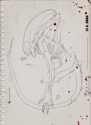 File:Mt 07.jpg