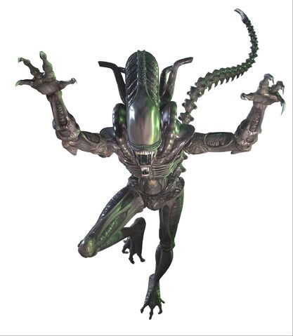 File:Alien attacks you.jpg