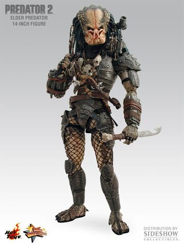 File:HottoysElderP22008.jpg