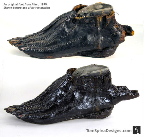 File:Alien-1979-Foot-Movie-Costume-Latex-Restoration-1 1.jpg