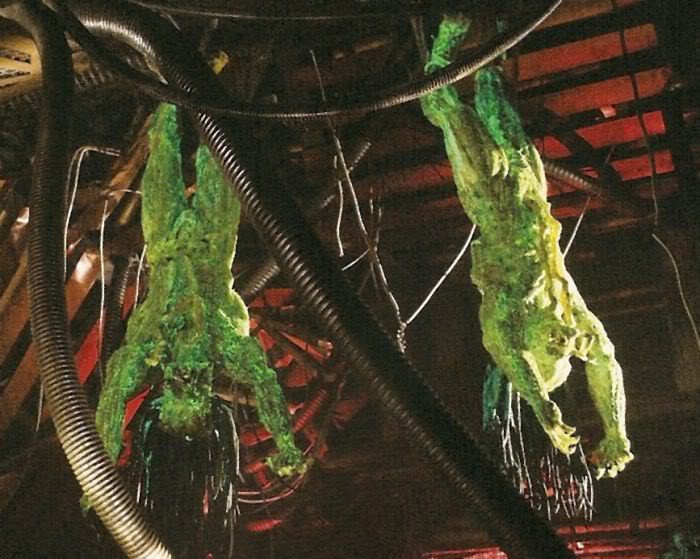 Aliens vs. Predator: Requiem deleted scenes | Xenopedia | FANDOM
