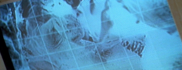 File:Xeno embryo.png