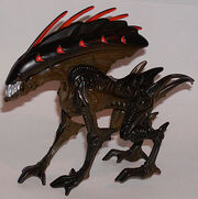 Wild Boar Alien