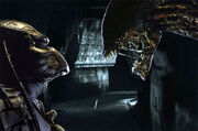 Alien-vs-predator
