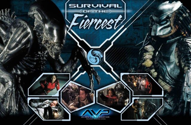 File:AVP Puzzle Cards.jpg