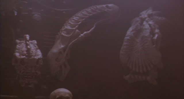 File:Trophies 2.png