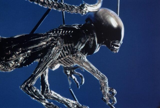 File:DragonRodPuppet.jpg