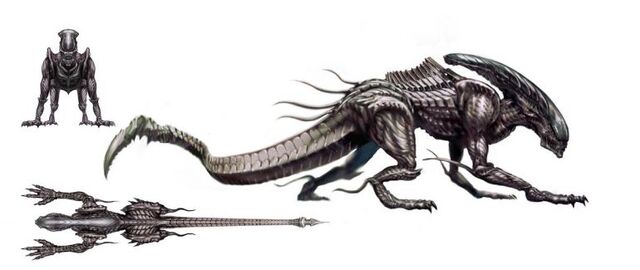 File:Normal aliencconcept36.jpg