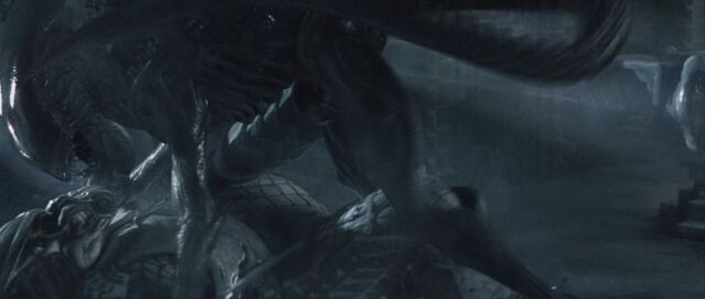 File:Normal avpbluray327.jpg