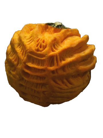 File:Facehuggerpumpkingclr.png
