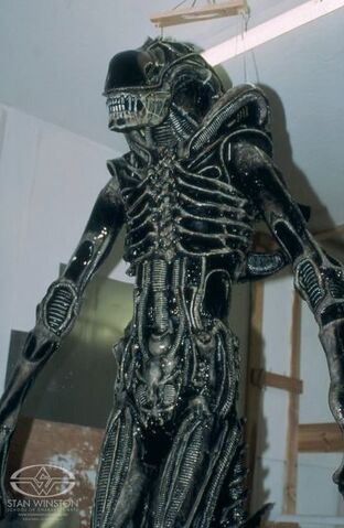 File:AliensWarrior.jpg
