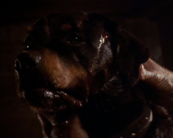 File:Spike.png