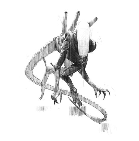 File:Alien Sketch.0.jpg