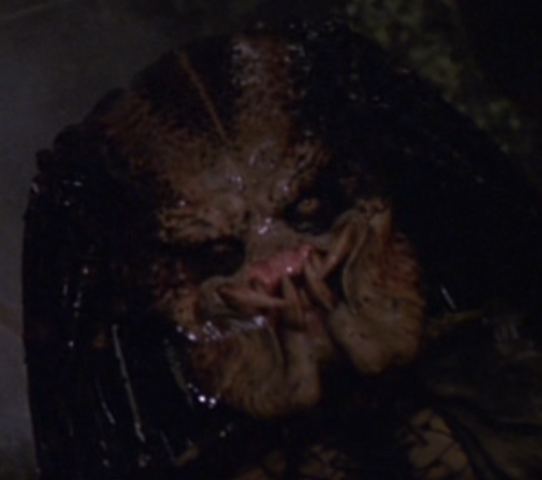 File:Jungle Hunter closeup.png