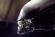 Alien-dome-jaw