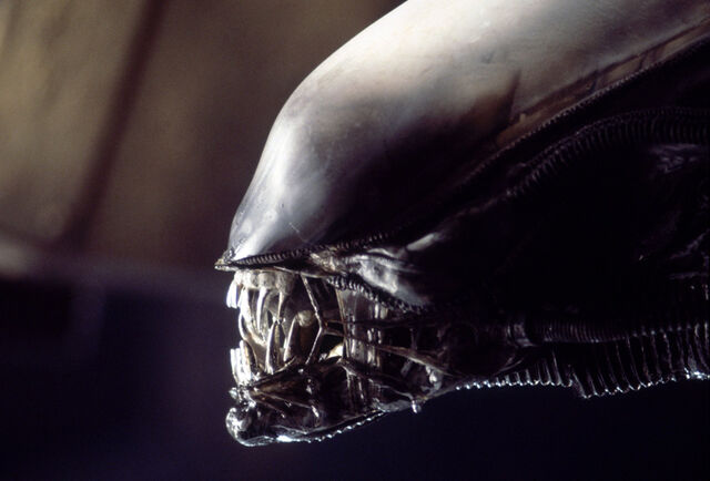 File:Alien-dome-jaw.jpg