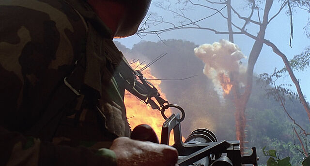 File:Blain destroys tree.jpg