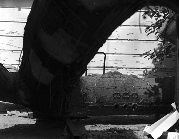 File:Derelict in BB driveway.jpg