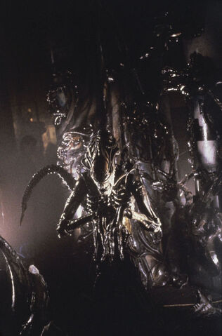 File:A2productionstill59.jpg