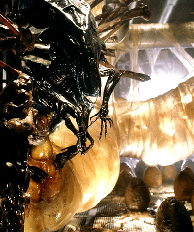File:Eggsac.png