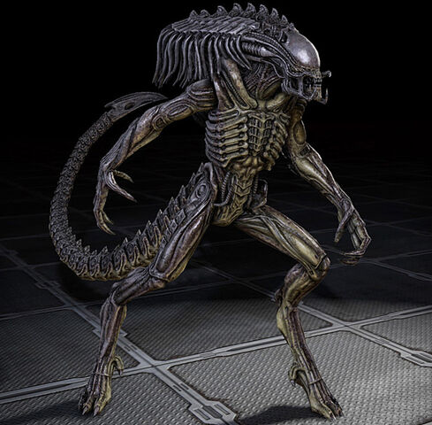 File:Abomination.jpg