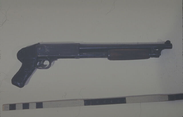 File:Shotgun1medium.jpg