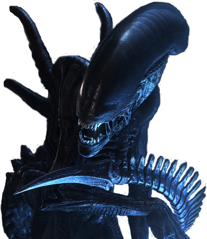 File:Xenomorph No Background.png