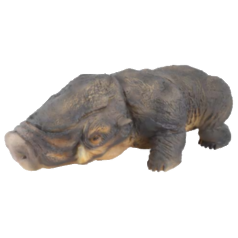 File:Happabore.png