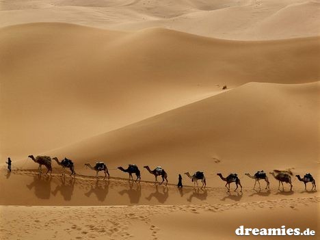 File:0bg3uvaw6w2.jpg