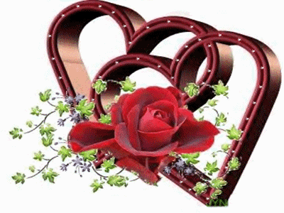 File:003v0548qZz.gif