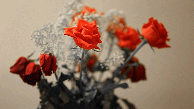 File:C的4AB01491B73B9916E8E3C8B9544803F776514E6FEAFC 640 360.gif