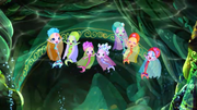 Selkies.png