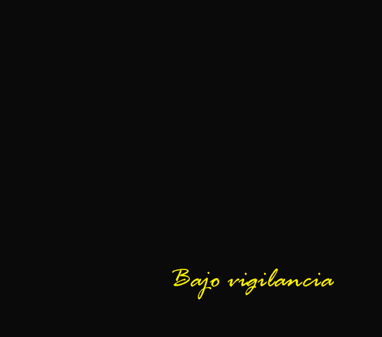 Archivo:Bajo vigilancia.png